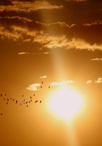The Sun Massage